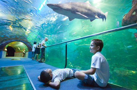 Niños en el Aquarium de San Sebastián