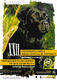2001 XXII EXPOSICION CANINA INTERNACIONAL DE GIPUZKOA.pdf.jpg
