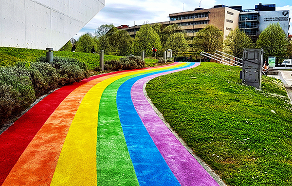 Irudia Impulsar la visibilización de los derechos de las personas LGTB+