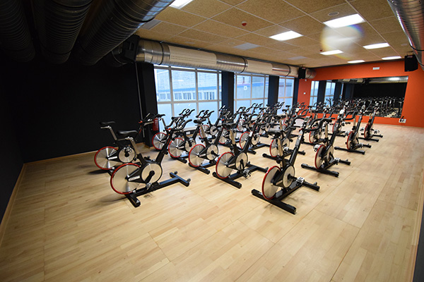 Irudia Impulsar el Deporte como instrumento para la cohesión social, la salud y la igualdad