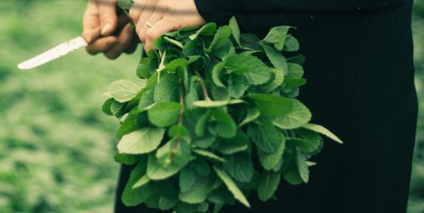 Palestinako landa-populazioaren ahalduntzea. 2020 img