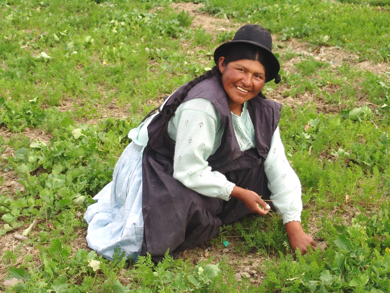 Ahalduntzea eraldatzeko! Santa Cruz, Bolivia. 2020 img