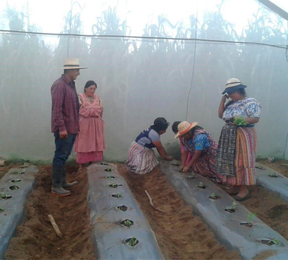 Defensa del territorio y la conservación del medio ambiente. 2019 img