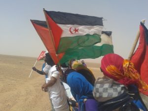 'Una mirada al Sáhara Occidental desde los DD.HH. 2019' irudia