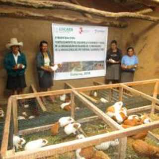 Autonomía económica, social y política de las mujeres.Perú. 2019 img