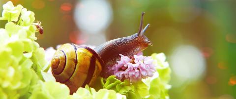 Ocio consciente. 2020 img