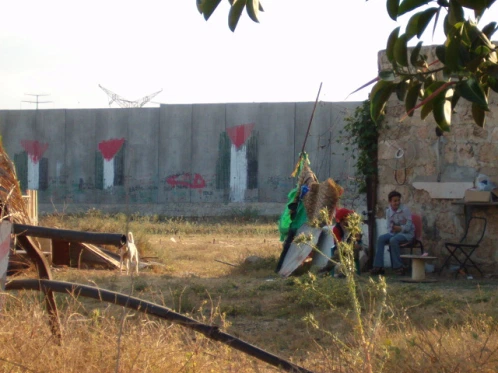 Protección presos/as políticos/as palestinos y sus familias. 2020 img