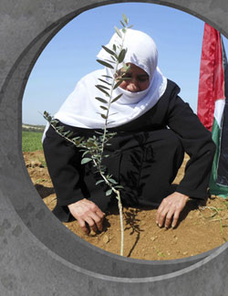 Sodepaz y Biladi (Palestina). 2014 img