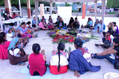 Paz y Solidaridad, México. 2015 img