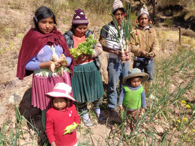 'Seguridad alimentaria en 12 comunidades. Bolivia. 2107' irudia