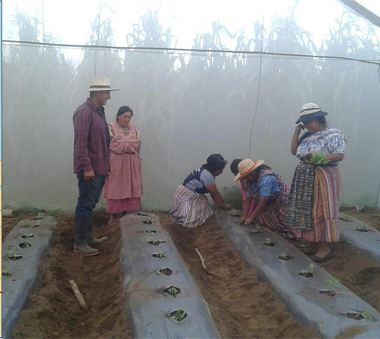 'Promoción de la soberanía alimentaria. Chimaltenango ...' irudia