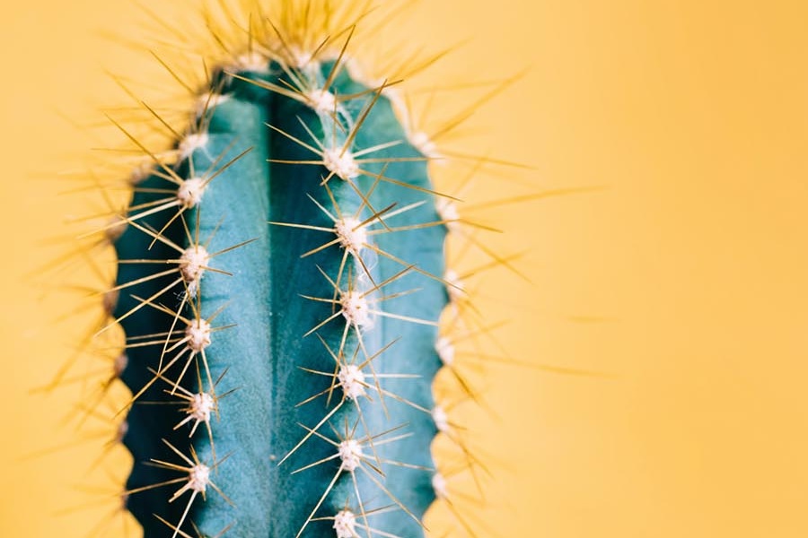 Tertulia literaria: 'Lurraz beste'