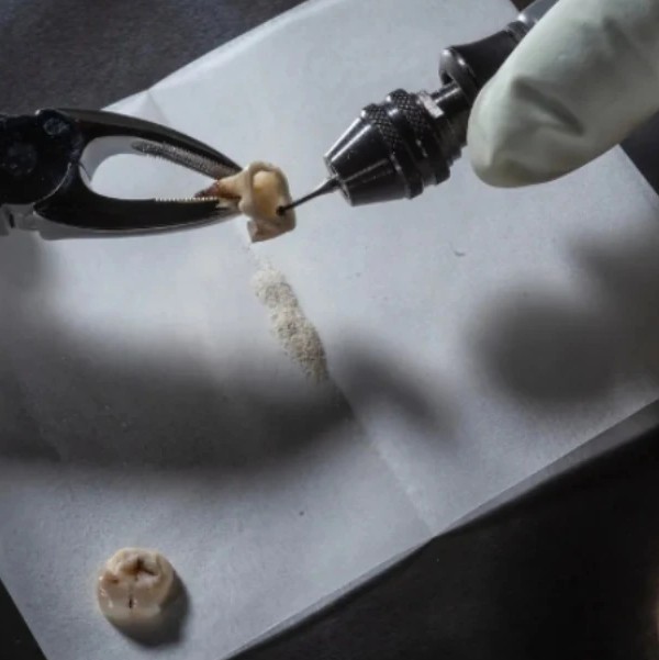 Aranzadiren XXIV. Arkeologia Jardunaldiak: 'Revolución arqueogenética y organización social en la Prehistoria'