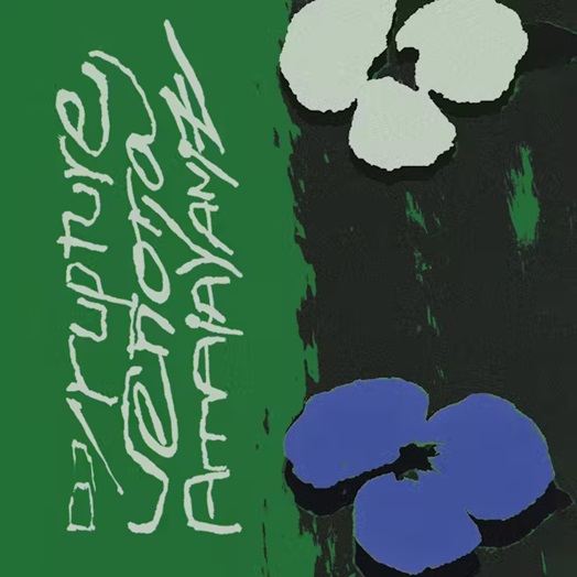 DJ/rupture + Amaia Yaniz + Señora