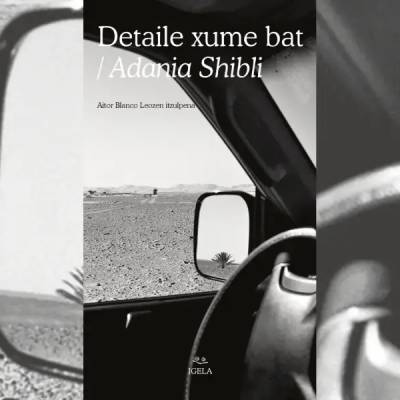 Literatur solasaldia: 'Detaile xume bat'