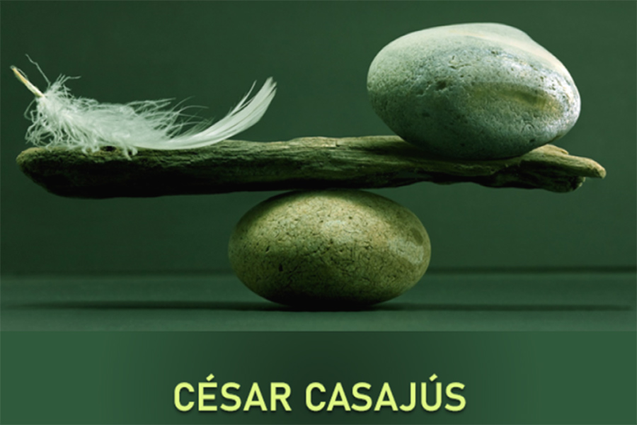 'El pequeño libro de la ley de la compensación'