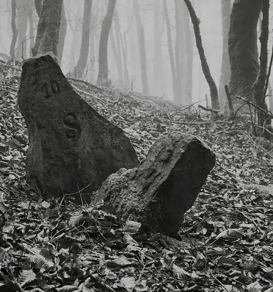 'Gipuzkoa begiragarria'