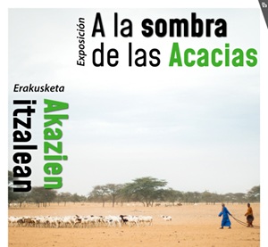 'A la sombra de las acacias'