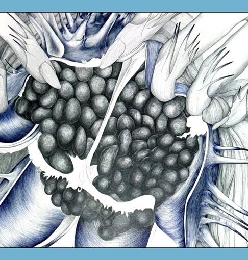 Marlene McCarty: 'Sasi guztien gainetik'