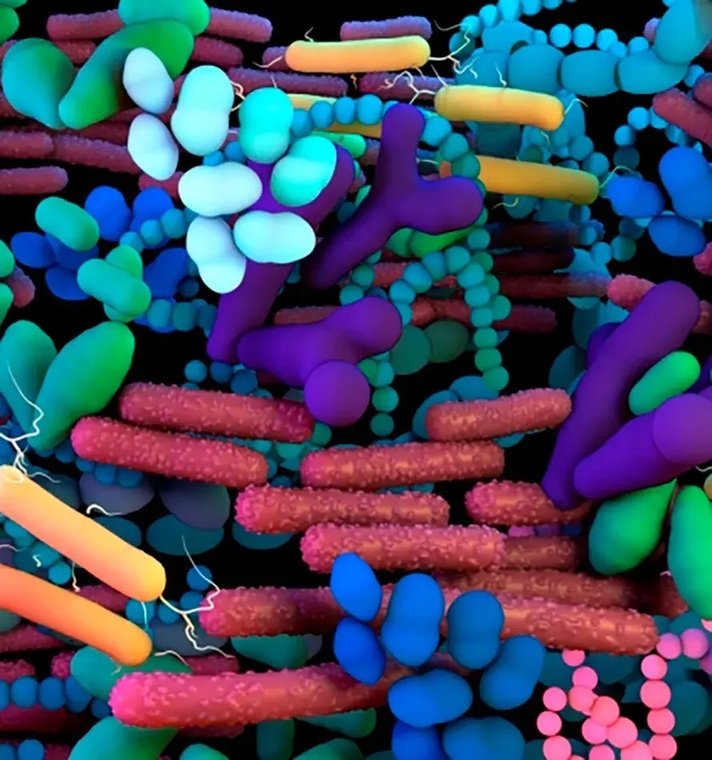 'Un planeta, una salud, un microbioma: un enfoque holístico frente a la resistencia a los antimicrobianos'