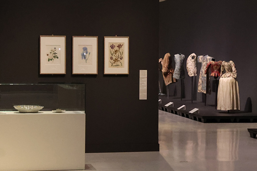 Bisita gidatua: 'Lorategi bat soinean'