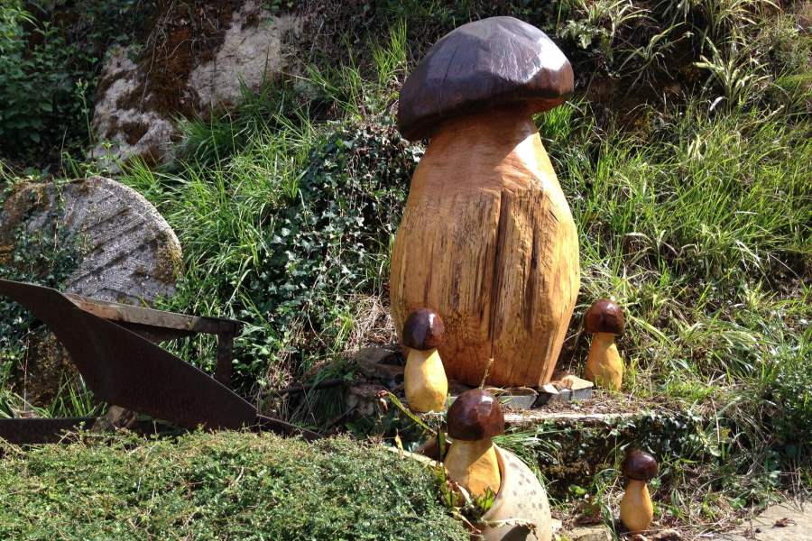 Josean Ruiz Santana: 'Perretxikoen zurezko eskulturak'