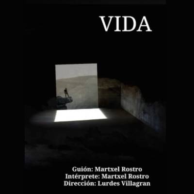 'Vida' Mikroantzerkia