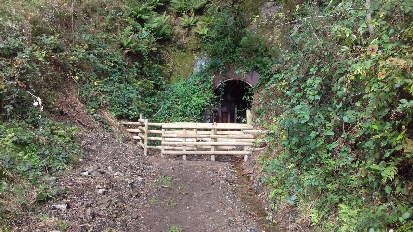 Artikutza visita guiada: 'El alto de Bianditz y su túnel'