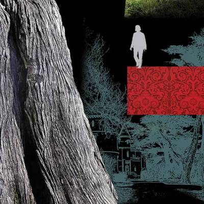 Literatur solasaldia: 'Locura' ekintzaren ikonoa