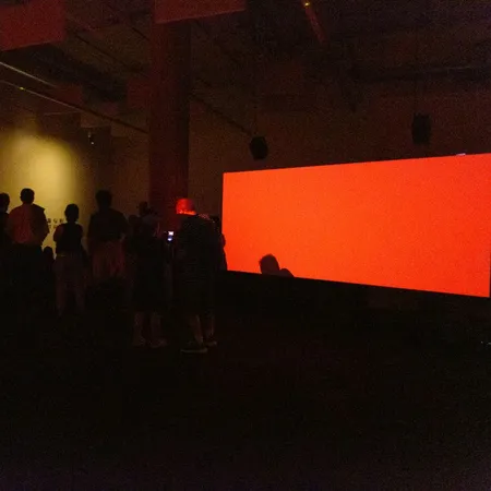 Bisita solasaldia: 'Strong back, soft front' (EU)