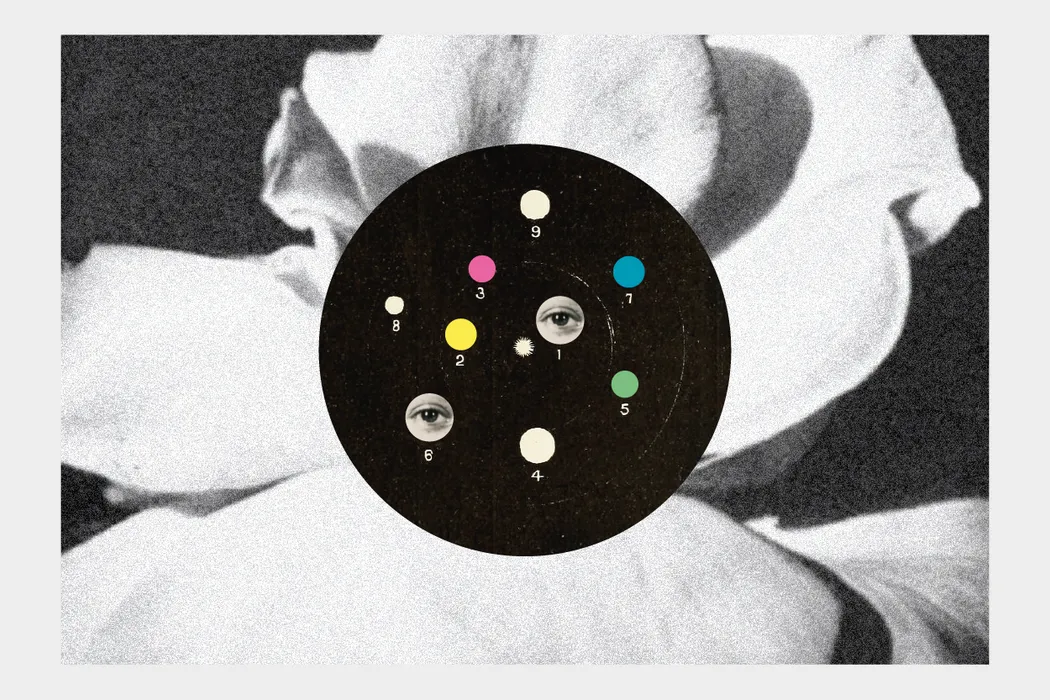 Euskadiko Orkestra: 'Arriaga / Strauss'