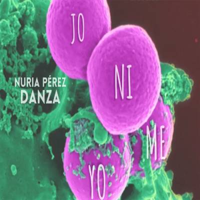 Ensayo abierto: 'NIJOYOME'