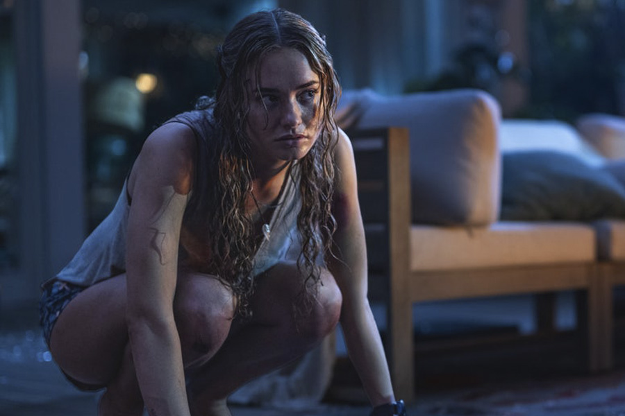 36ª Semana de cine y de Terror: 'Primate'