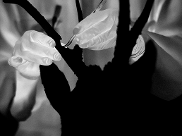 Jessica Sarah Rinland: 'Extramission: Capturando ojos luminosos'