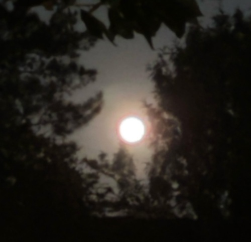 Oscar Tuazon: 'Moon Poem'