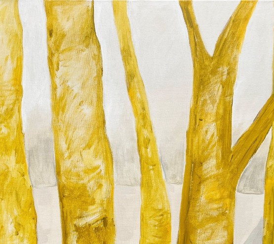 Luisa Chillida 'Basoa'