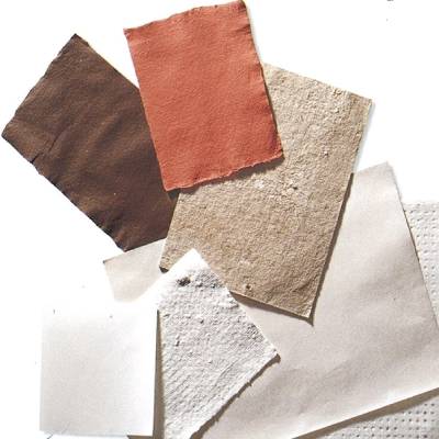 'Cómo hacer papel con vegetales'