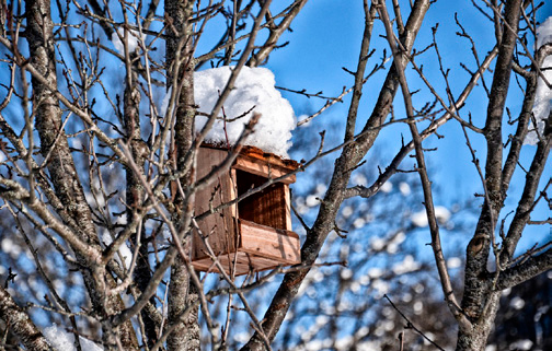'Kabikutxa: Uliako hegaztientzako etxeak'