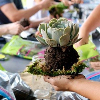Helduentzako tailerra: 'Neguko arte laborategia'