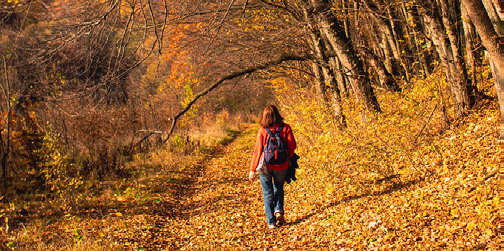 Ibilaldia: 'Baño de bosque en Ulia'