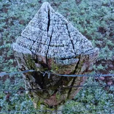 Literatur solasaldia: 'Urrats galduen hotsa'