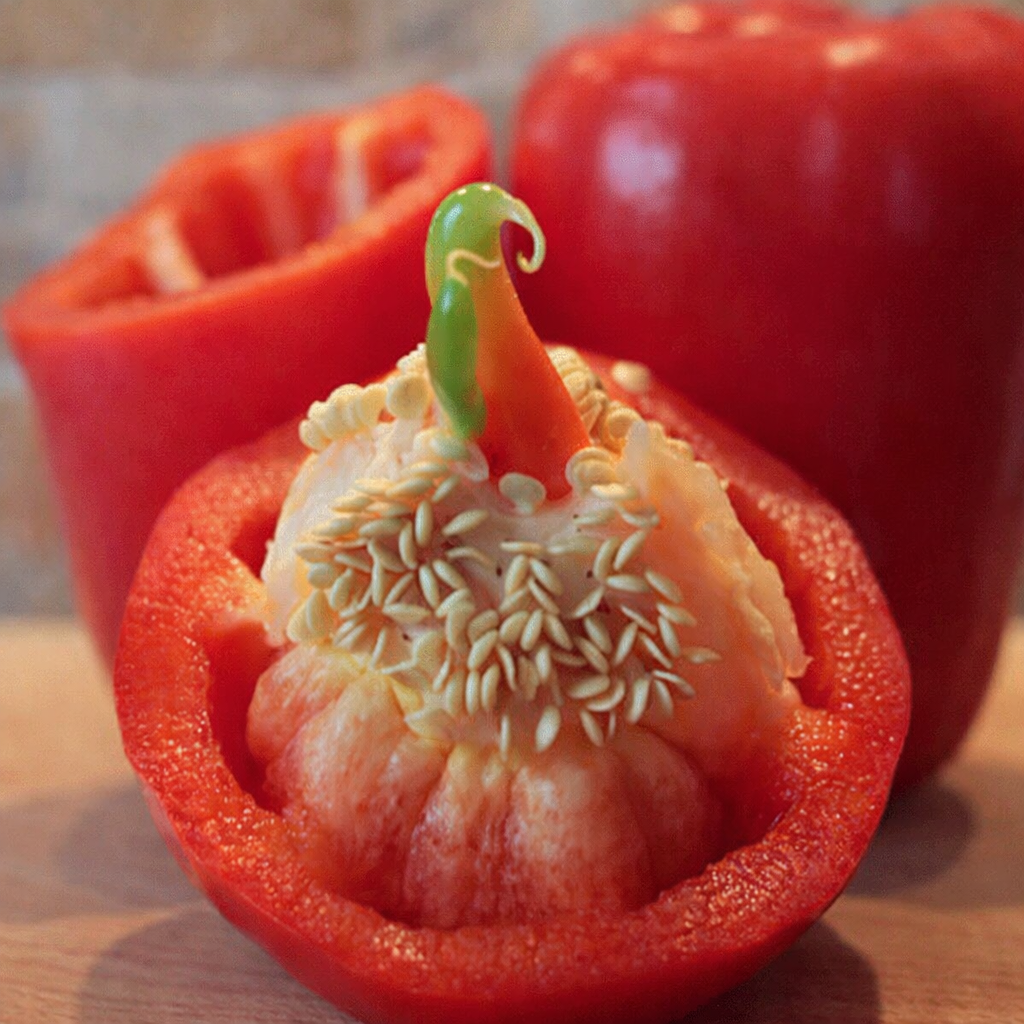 'Haziak ugaltzeko tailerra'