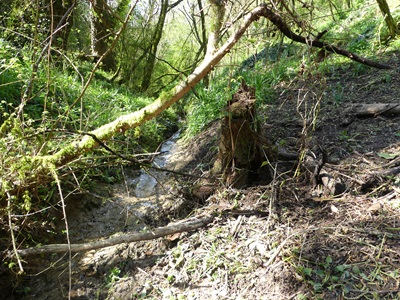 Foto: Udalak landare inbaditzaileak kendu ditu Ollola eta Zapatari erreketan