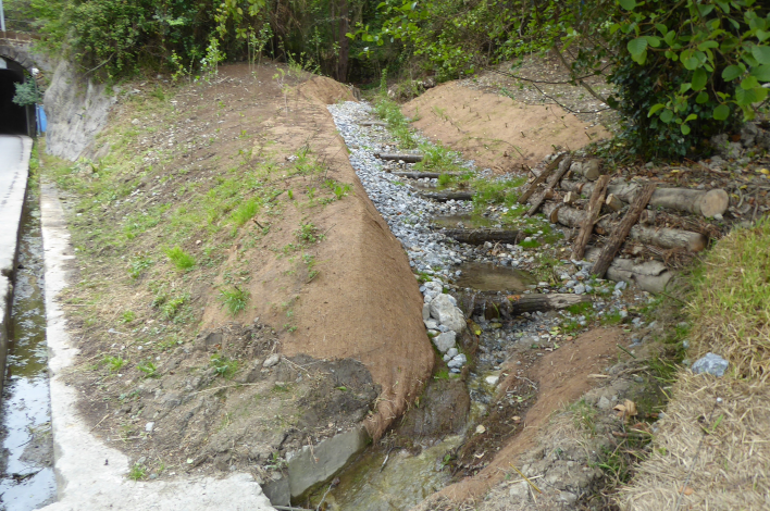 Foto: Renaturalización del arroyo Santa Teresa de Morlans