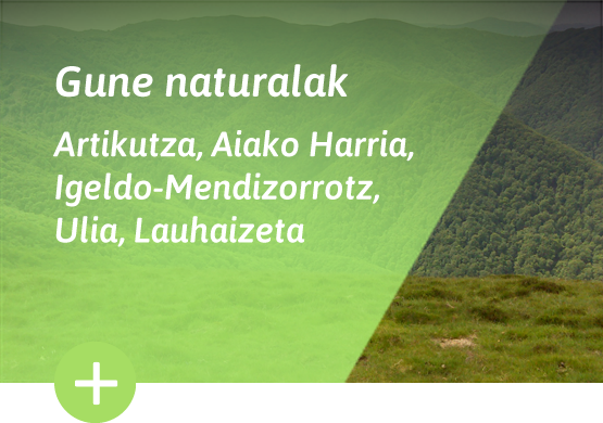 Gune naturalak - Artikutza, Aiako Harria, Igeldo-Mendizorrotz, Ulia, Lauhaizeta