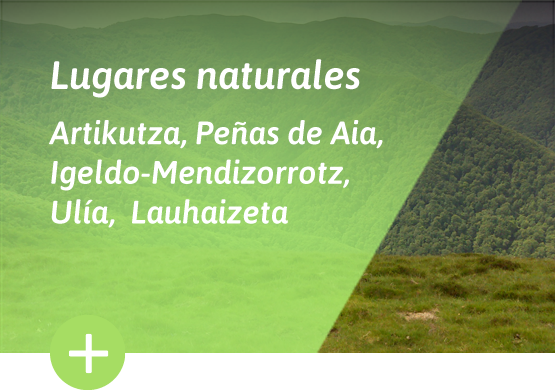 Lugares naturales - Artikutza, Peñas de Aia, Igeldo-Mendizorrotz, Ulía, Lauhaizeta