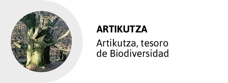 ARTIKUTZA