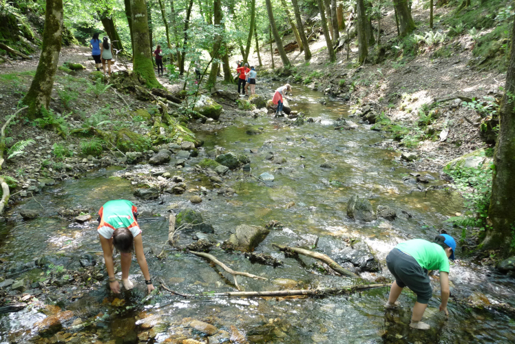 Niños buscando en un río