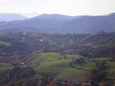 Foto de zona verde de Donostia