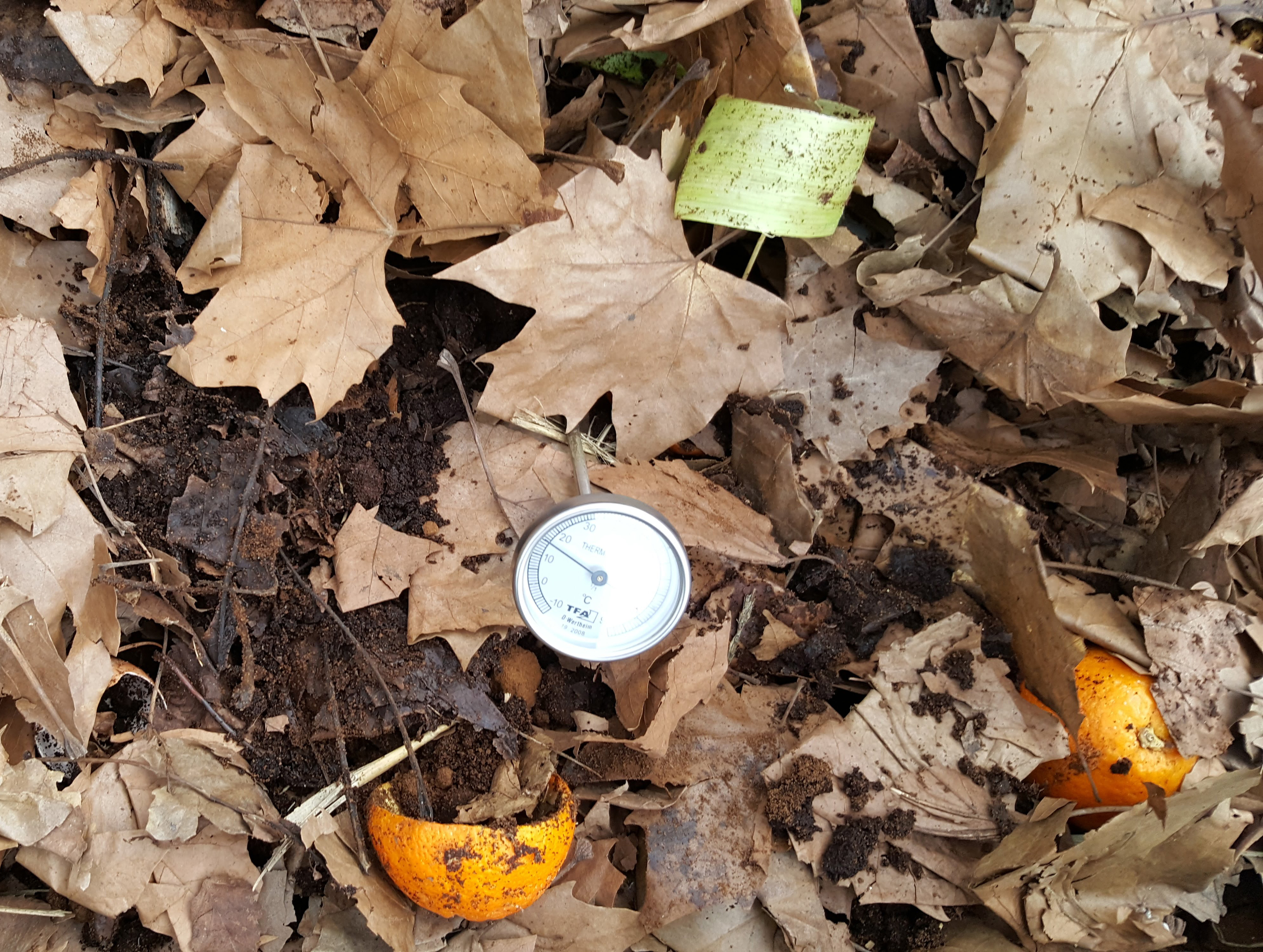 Compostaje domiciliario